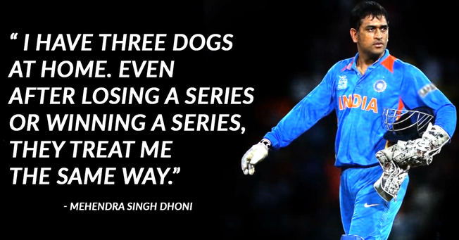 Desktop msd f