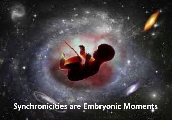 Desktop embryonicmoments