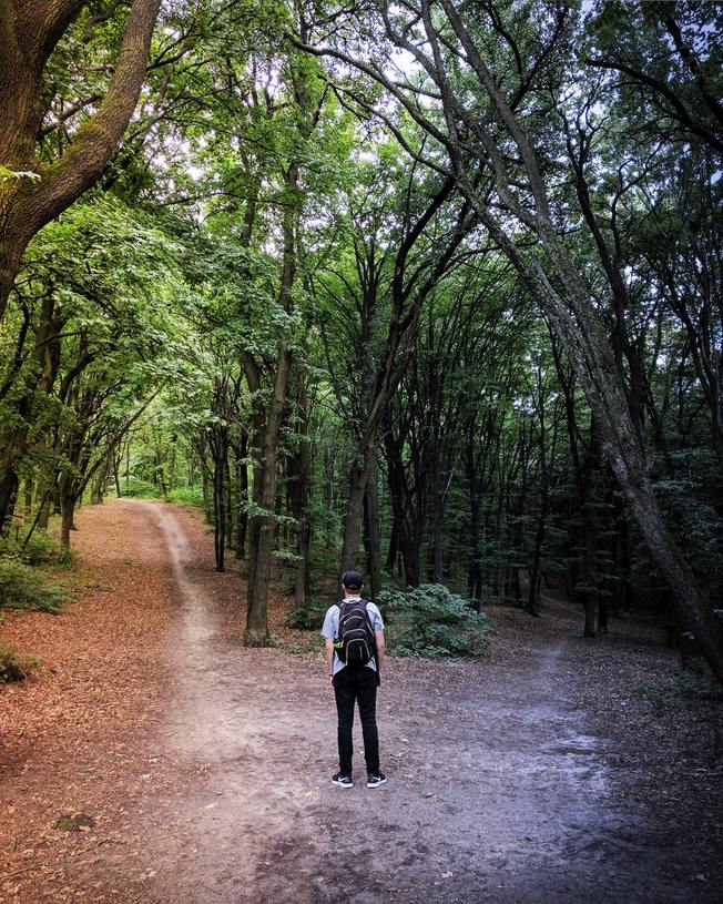 Desktop man in the woods   self confidence