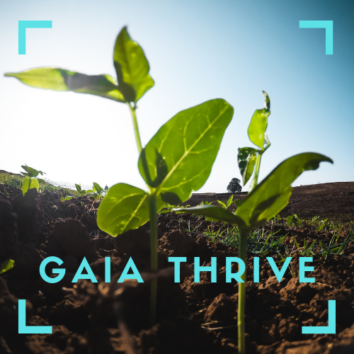 Desktop gaia thrive