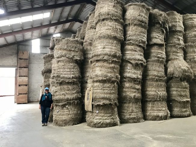 Desktop angela wartes kahl bales retted fiber flax europe 2018 1024x768