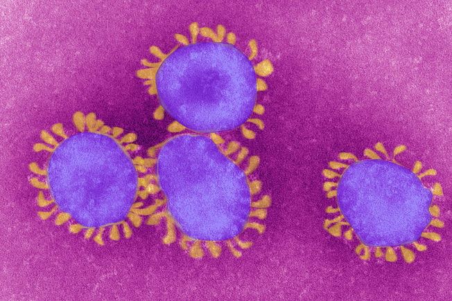 Desktop coronavirus