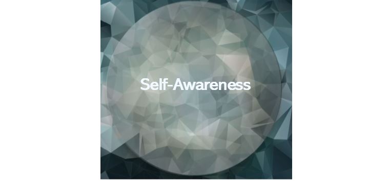 Self awareness