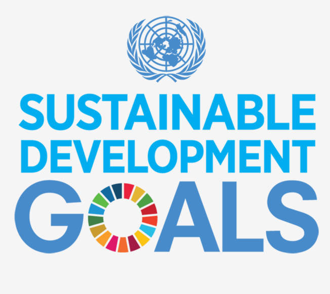 Desktop sdg lgo sq19