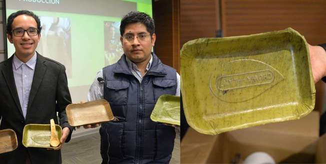 Desktop banana leaf plates