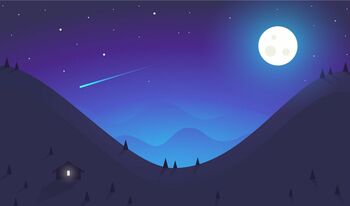 Influex store 1672438