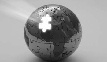 Influex store privacy world puzzle